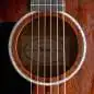 Taylor 224ce-K DLX Lefthand