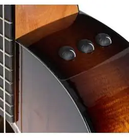 Taylor 224ce-K DLX Lefthand