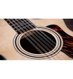Taylor 352ce 12-String 12-Fret