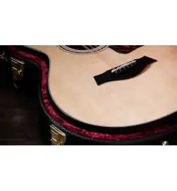 Taylor 352ce 12-String 12-Fret