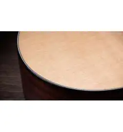 Taylor 354ce 12-String
