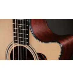 Taylor 354ce 12-String