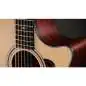Taylor 354ce 12-String