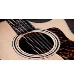 Taylor 354ce 12-String