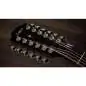 Taylor 354ce 12-String
