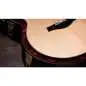 Taylor 354ce 12-String