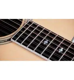 Taylor 855e Legacy Edition 12-String