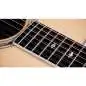 Taylor 855e Legacy Edition 12-String
