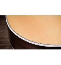 Taylor 855e Legacy Edition 12-String
