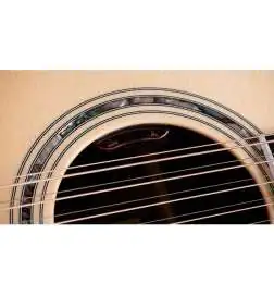 Taylor 855e Legacy Edition 12-String
