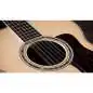 Taylor 855e Legacy Edition 12-String