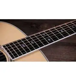 Taylor 855e Legacy Edition 12-String