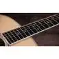 Taylor 855e Legacy Edition 12-String