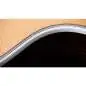 Taylor 855e Legacy Edition 12-String