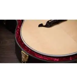 Taylor 855e Legacy Edition 12-String