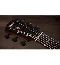 Taylor 324ce Baritone-6 LTD