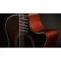 Taylor 324ce Baritone-6 LTD Taylor 324ce Baritone-6 LTD