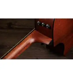 Taylor 324ce Baritone-6 LTD