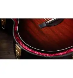 Taylor 324ce Baritone-6 LTD