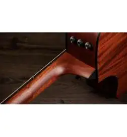 Taylor 324ce Baritone-8 LTD