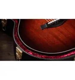 Taylor 324ce Baritone-8 LTD