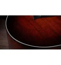 Taylor 324ce Baritone-8 LTD