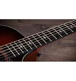 Taylor 324ce Baritone-8 LTD