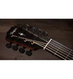 Taylor 324ce Baritone-8 LTD