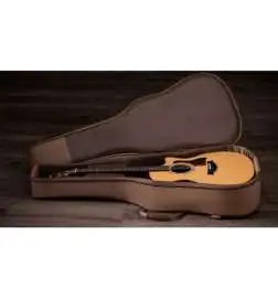 Taylor 414ce Studio Natural