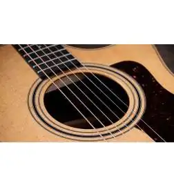 Taylor 414ce Studio Natural