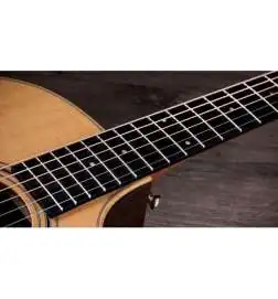 Taylor 414ce Studio Natural