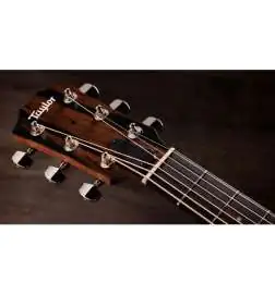 Taylor 414ce Studio Natural