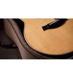 Taylor 414ce Studio Natural