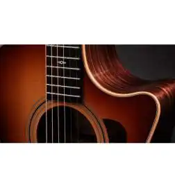 Taylor Sunset Blvd 414ce Studio