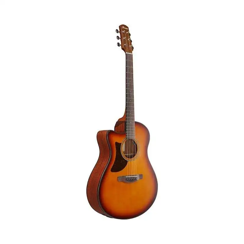 Ibanez AAM50LCE-OLB