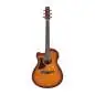 Ibanez AAM50LCE-OLB