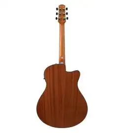 Ibanez AAM50LCE-OLB