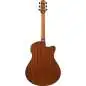 Ibanez AAM50LCE-OLB