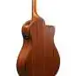 Ibanez AAM50LCE-OLB