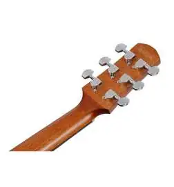 Ibanez AAM50LCE-OLB