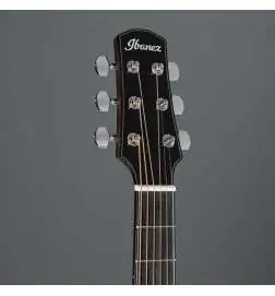 Ibanez AAM380CE-NT