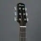 Ibanez AAM380CE-NT