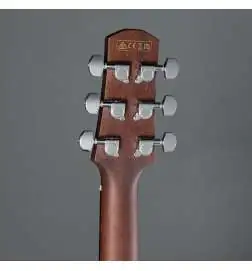 Ibanez AAM380CE-NT