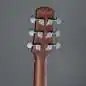Ibanez AAM380CE-NT
