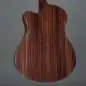 Ibanez AAM380CE-NT