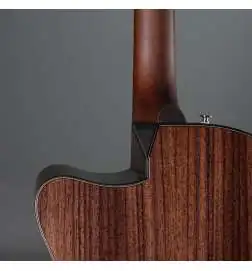Ibanez AAM380CE-NT