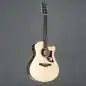 Ibanez AAM380CE-NT