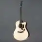 Ibanez AAM380CE-NT