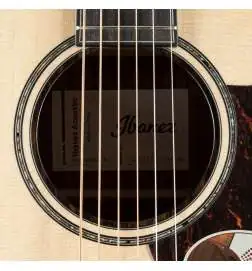Ibanez AAM380CE-NT