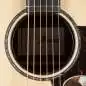 Ibanez AAM380CE-NT